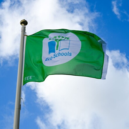 St Michael's achieves Eco-Schools Green Flag Award