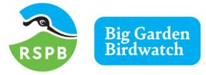 Big Garden Birdwatch