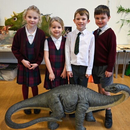 Discovering dinosaurs with the Natural History Museum