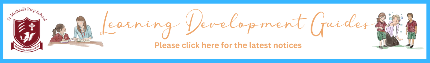 Learning Development Guides