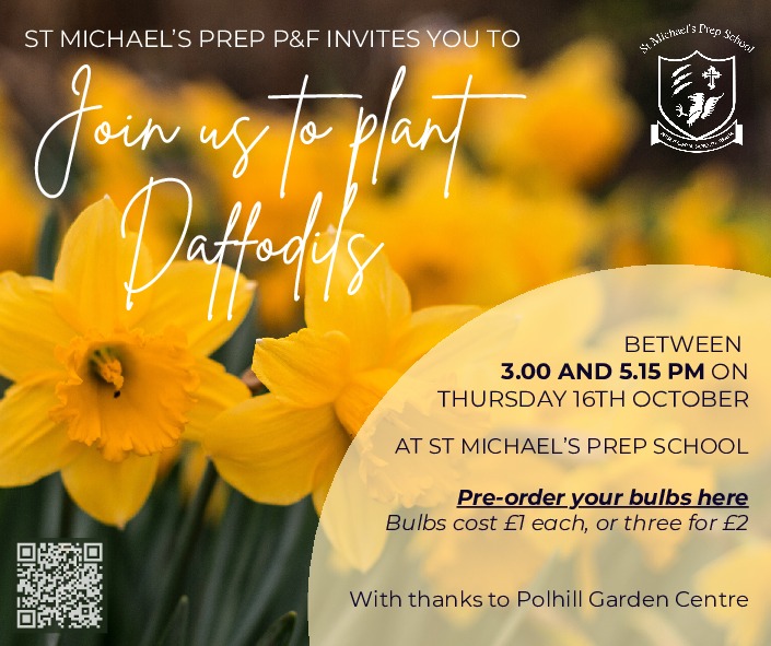 St Michael's bulb plant