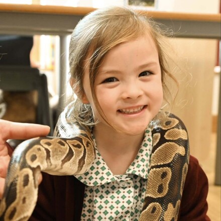 Year 2 Animal Experience