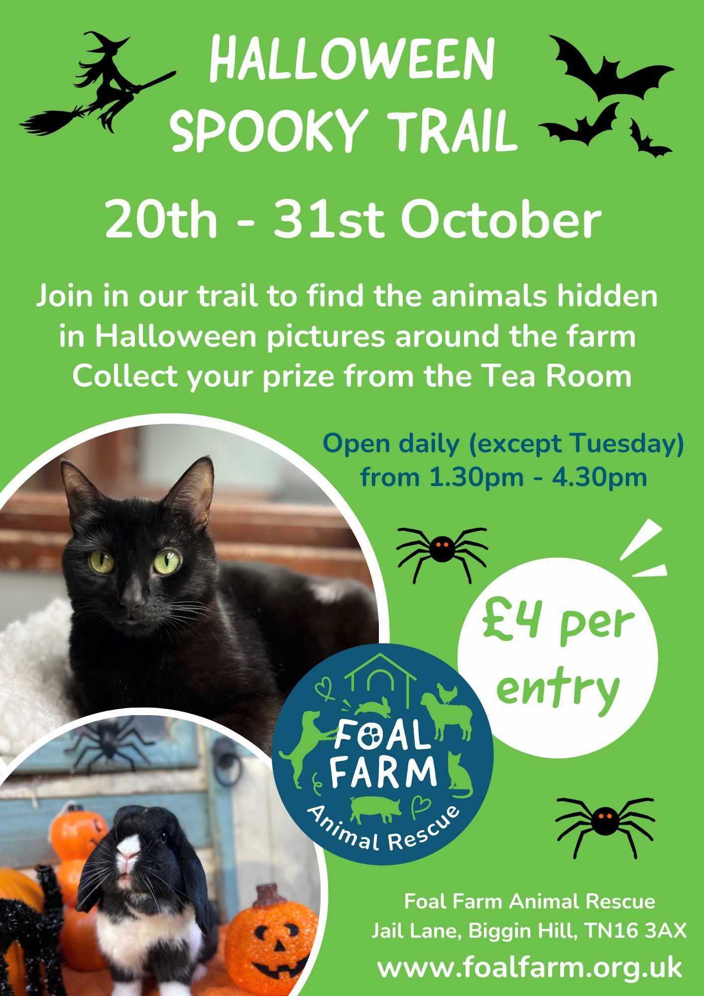 Halloween Trail Poster