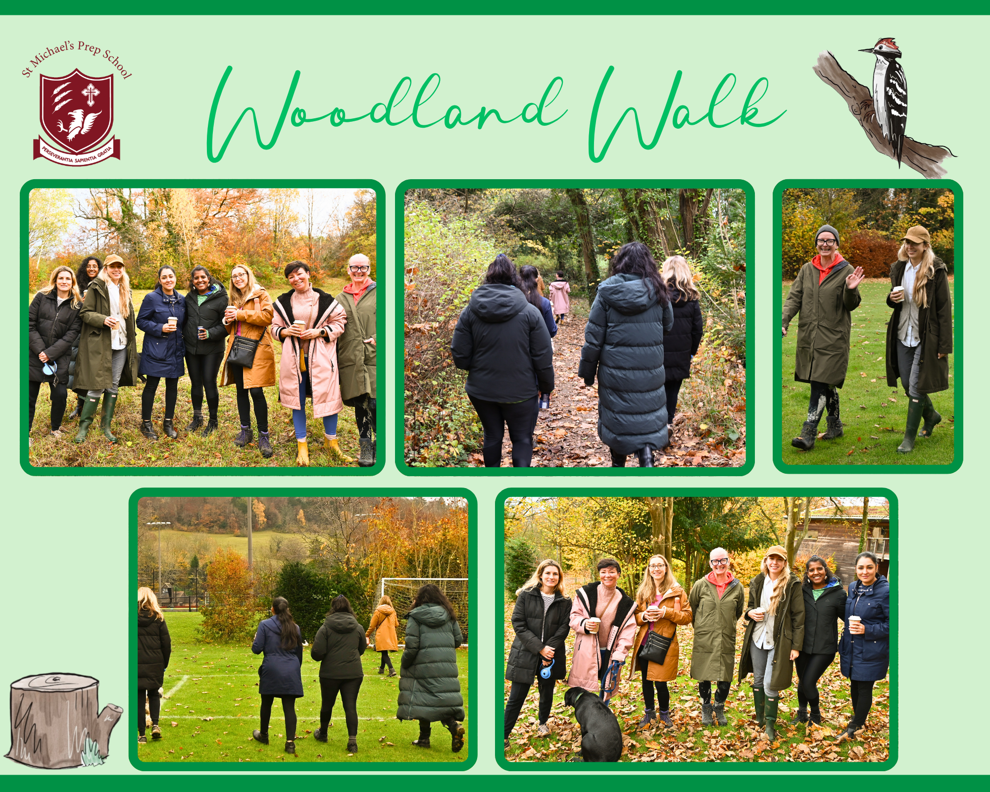 Woodland Walk Collage