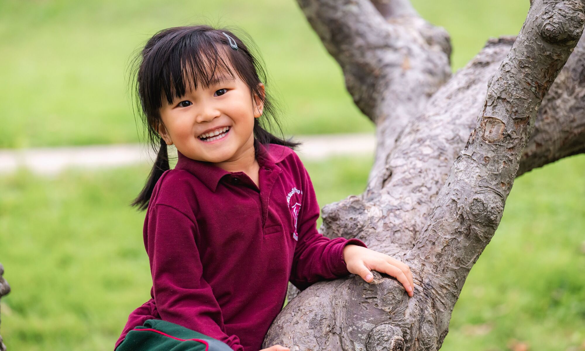 St Michael's Prep School Pre-Prep tree